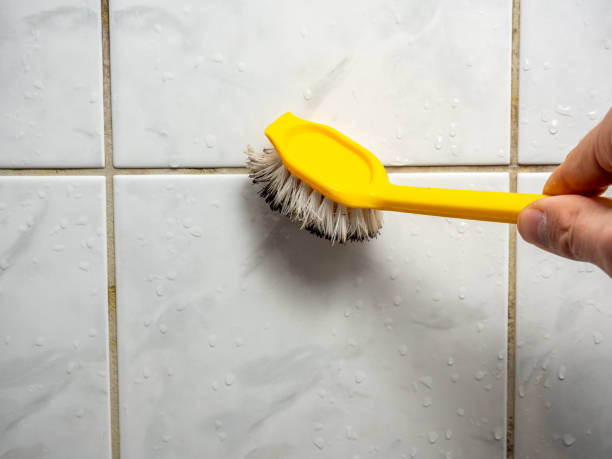 Best Black Mold Removal  in Thayer, MO