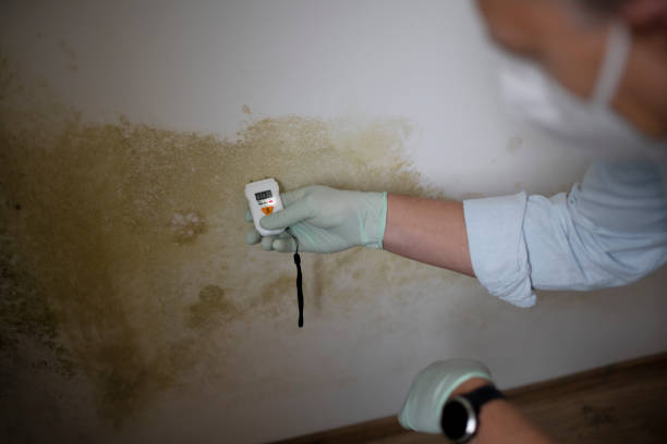 Best Mold Testing  in Thayer, MO