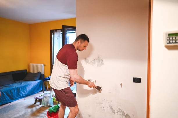 Best Professional Mold Removal  in Thayer, MO