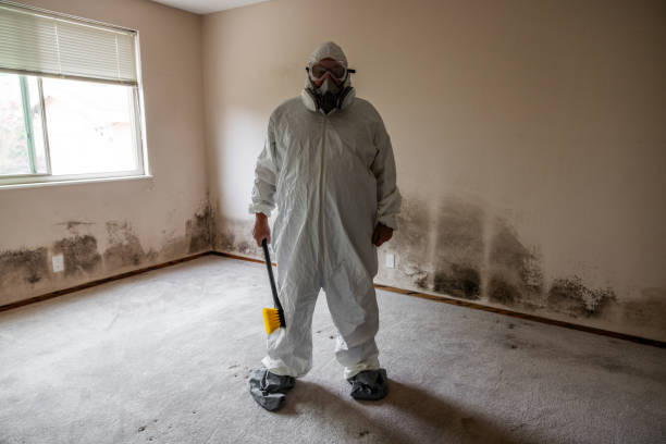 Best Residential Mold Removal  in Thayer, MO